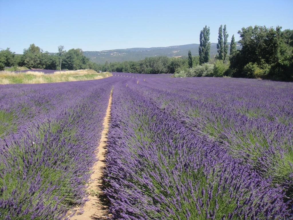 Le Mas Du Loriot Murs  Exterior foto