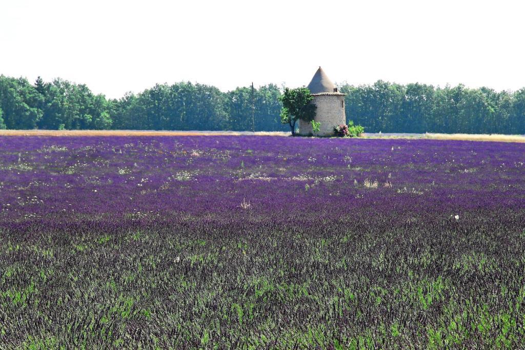 Le Mas Du Loriot Murs  Exterior foto
